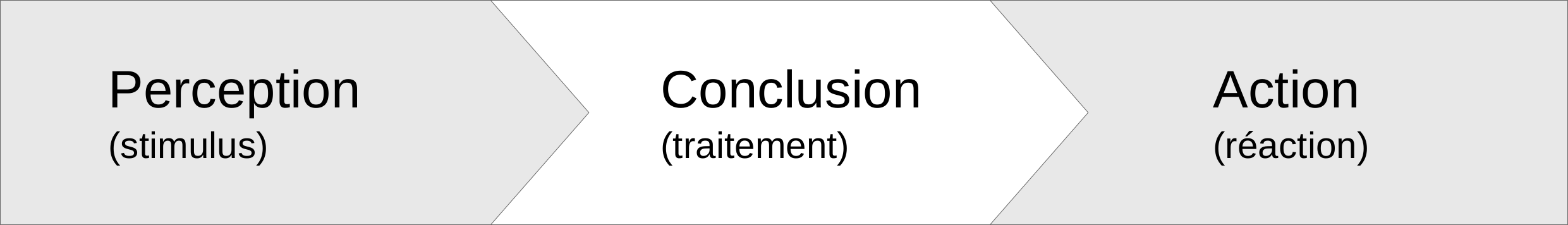 perception-conlusion-action